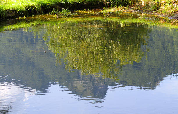 istock reflection of Mount Spitz of Tonezza del cimone 519846395