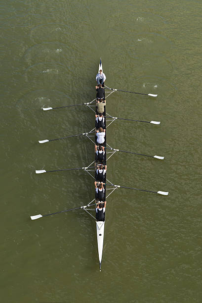 doze homens remo no rio danúbio - oar rowing sport rowing team - fotografias e filmes do acervo