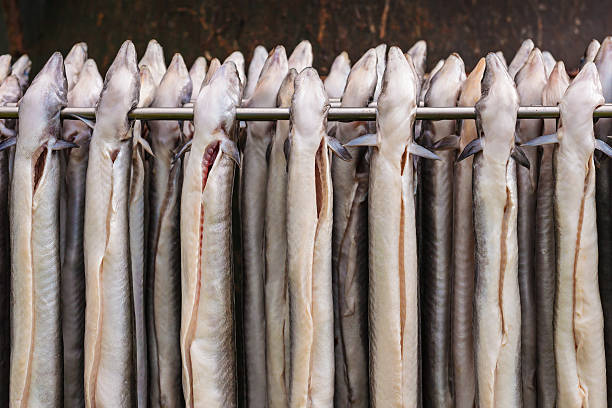 rack with fresh smoked eel in the netherlands - paling nederland stockfoto's en -beelden