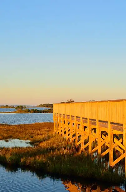 Photo of Liife of the Marsh Walkway Vertical