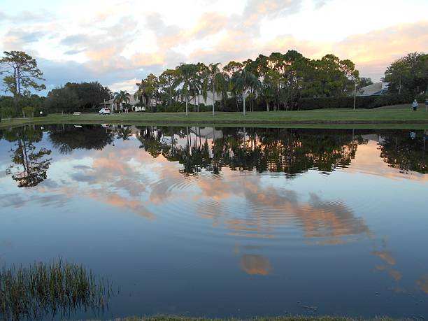 istock Tranquil pond in Sarasota Florida 519860184