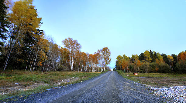 Gravel Road A gravel road in windy weather. Picture taken in October 2014 in Kenora, Ontario, Canada. kenora stock pictures, royalty-free photos & images