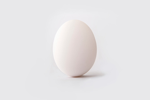 White egg with white background