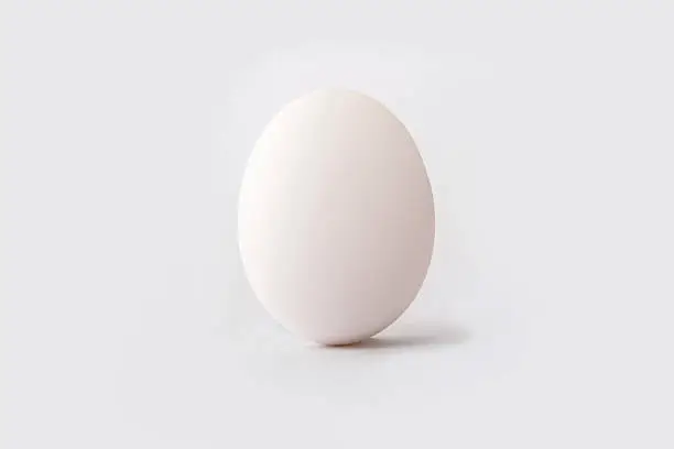 Photo of White egg