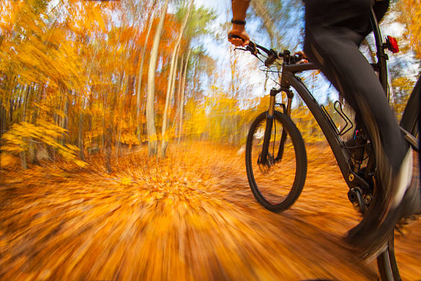 istock Mountain biker riding a colorful trail through the woods 519863596