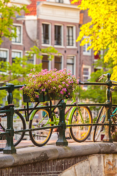 Summer view of bicycles in the Dutch city Amsterdam Summer view of bicycles with flowers on a canal bridge in the Dutch city Amsterdam jordaan amsterdam stock pictures, royalty-free photos & images