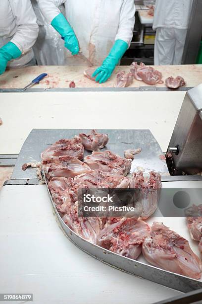 Poultry Processing Meat Food Industry Stock Photo - Download Image Now - Agriculture, Blue-collar Worker, Business Finance and Industry