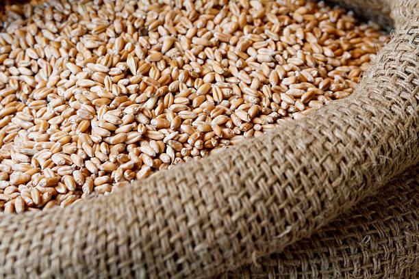 istock Food in jute sack 519865593