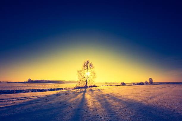 istock Vintage landscape of winter field 519865626