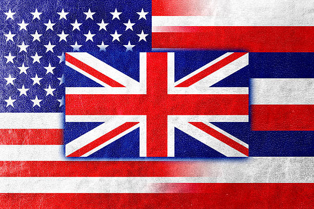 istock USA and Hawaii State Flag painted on leather texture 519866197