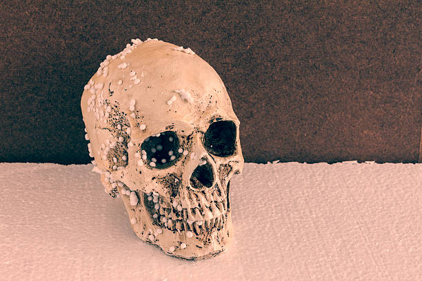 istock Human skull with vintage tone background 519867217