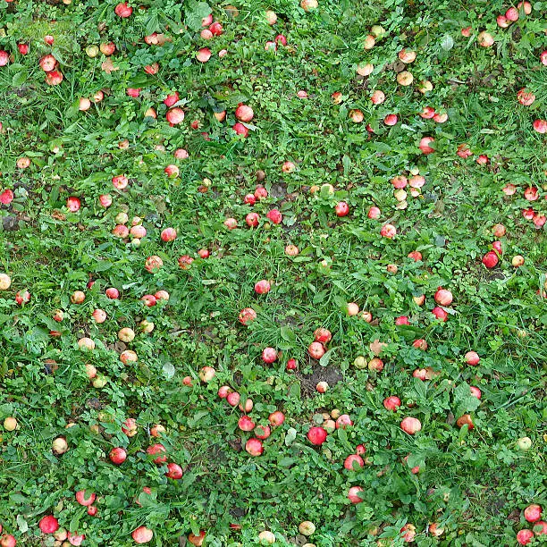 Square seamless texture of the grass with apples. Ready to use in any game engine.