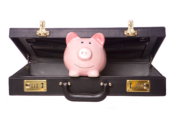 istock piggy bank in a brief case 519867985