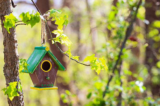 istock Birdhouse hanging in tree with trees in background 519870080