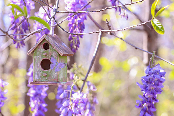 istock Birdhouse hanging in tree with purple flowers 519870084