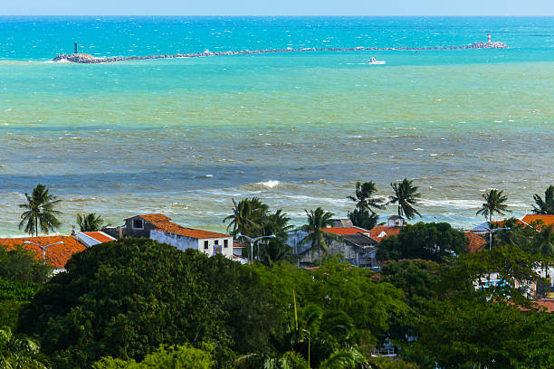 istock Rugged Islet in Brazil 519870474