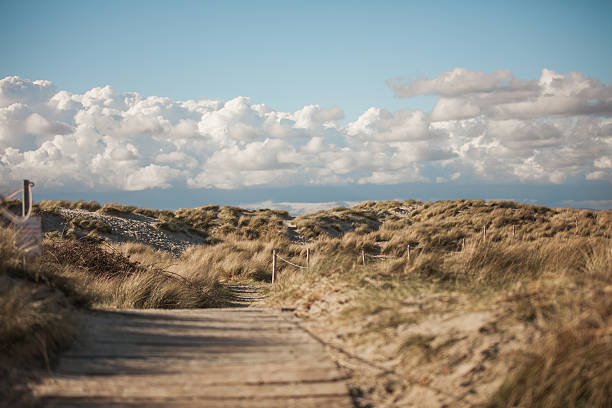 ouest wittering qui - witterung photos et images de collection