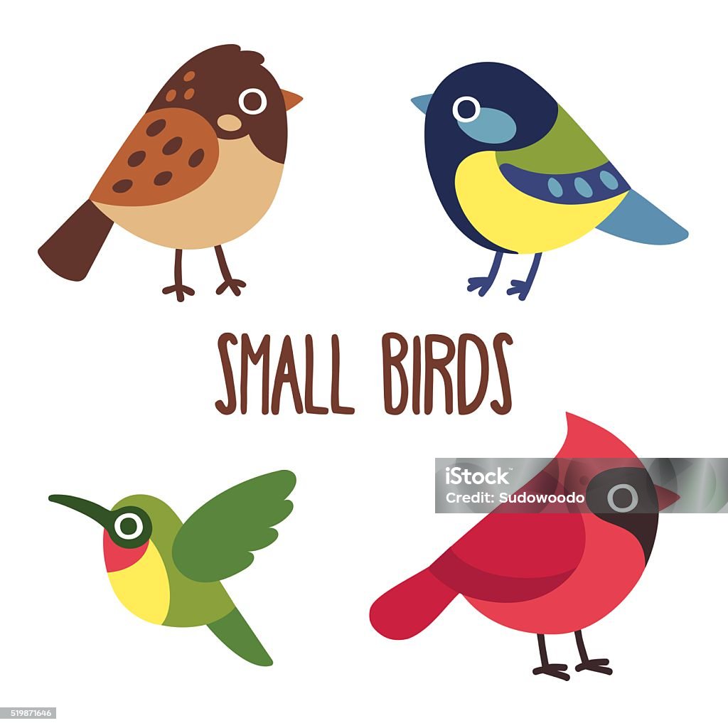 Cartoon birds set Cute cartoon wild birds set.  Sparrow and blue tit, colibri and red cardinal. Vector bird icons. Bird stock vector