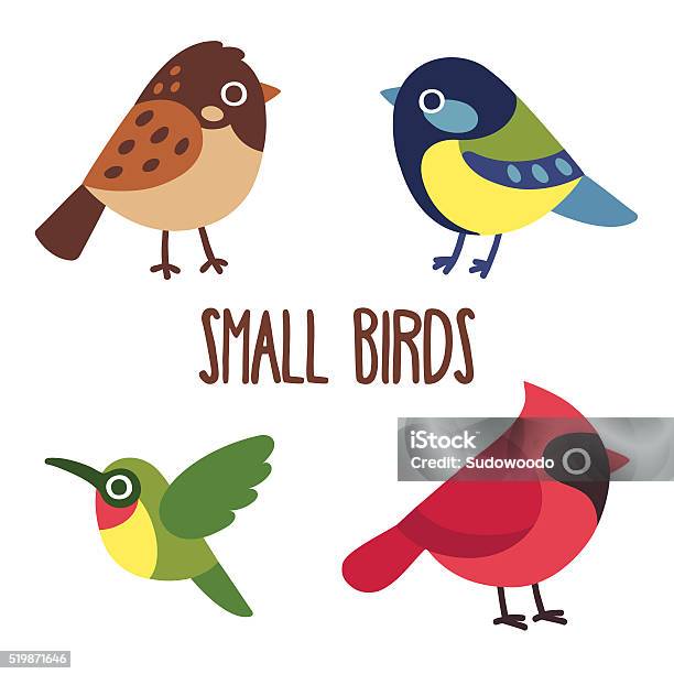 Cartoon Birds Set Stock Illustration - Download Image Now - Bird, Cute, Hummingbird
