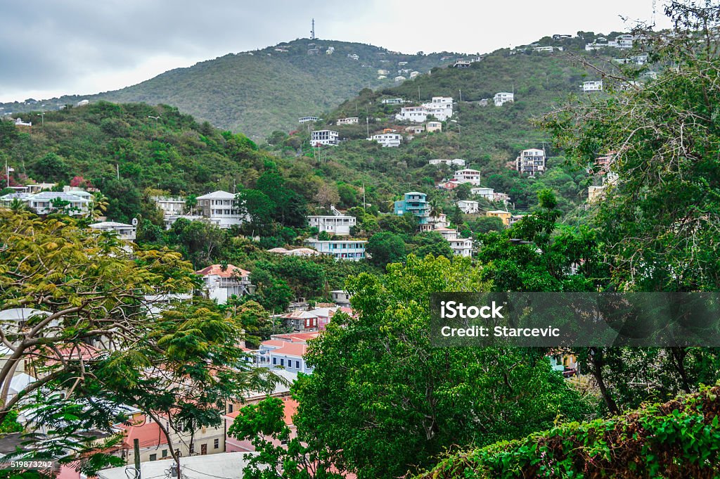 Tropical jungles in the Caribbean Aerial View Stock Photo