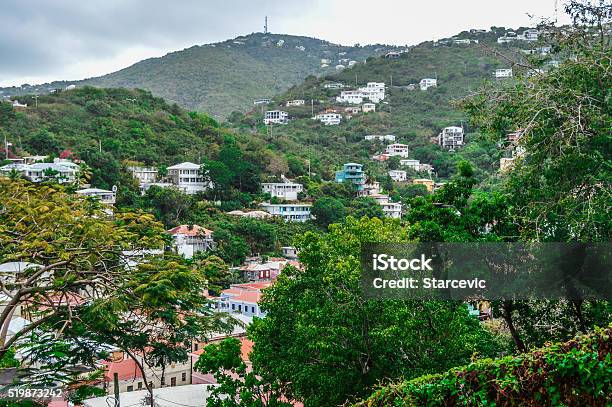 Tropical Jungles In The Caribbean Stock Photo - Download Image Now - Aerial View, Architecture, Blossom
