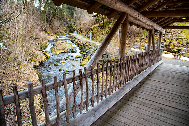 istock The wooden bridge through small river 519873570