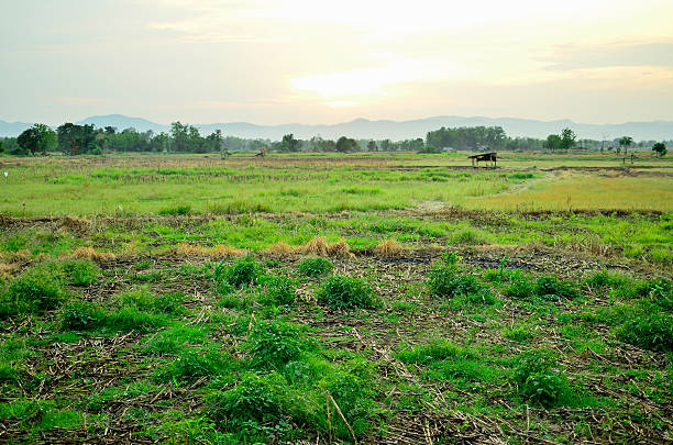 istock blue sky and clouds ,Green Field 519885857
