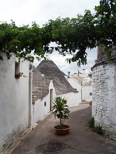 Trulli Trulli, the ancient and typical rural houses in Alberobello, region of Puglia, Italy conversano stock pictures, royalty-free photos & images