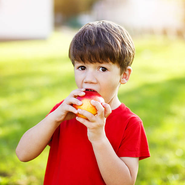 istock Little preschooler boy eat apple 519886659