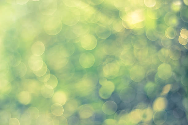 istock Twinkling lights blurred natural bokeh 519886892