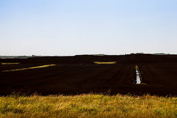 istock collection of black peat 519887760