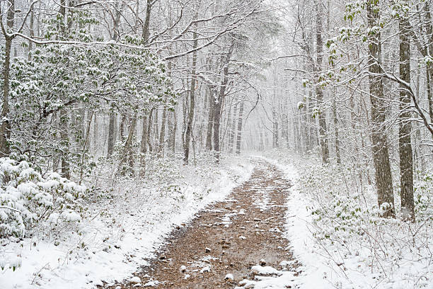 sentier des appalaches en hiver - appalachian trail dirt road footpath appalachian mountains photos et images de collection