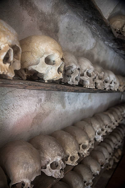 istock Skulls of deceased monks 519889693