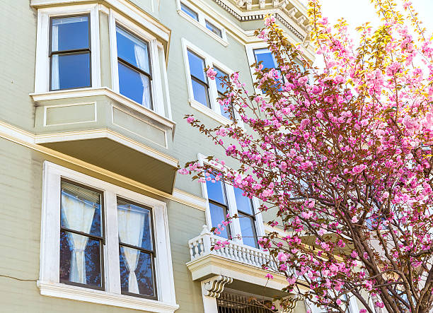 istock San Francisco Victorian houses California 519890593
