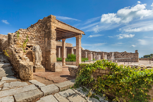 villa romana de Cartago, Túnez photo