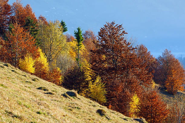 istock Golden autumn in mountain. 519893526