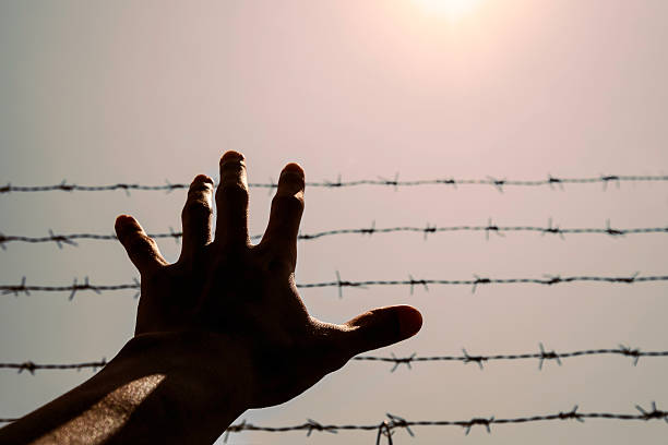istock Silhouette hand extending to the sky with barbwire and sunlight 519893818