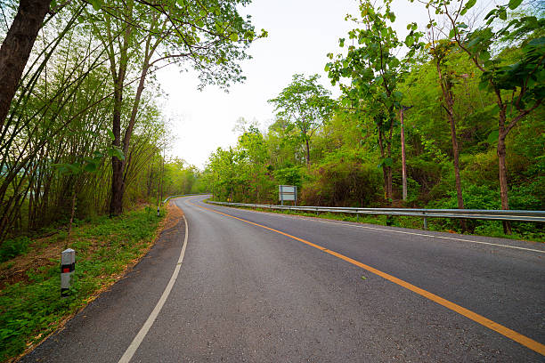 istock National road forest in the national park. 519893886