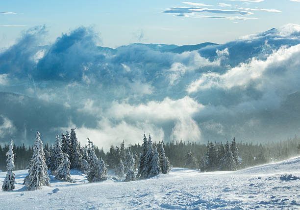 istock Icy snowy fir trees on winter hill. 519896934