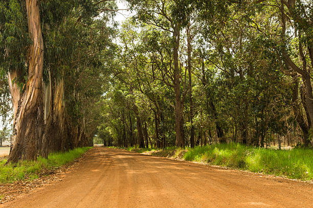 istock Ablett Road in Rural Australia 519897496
