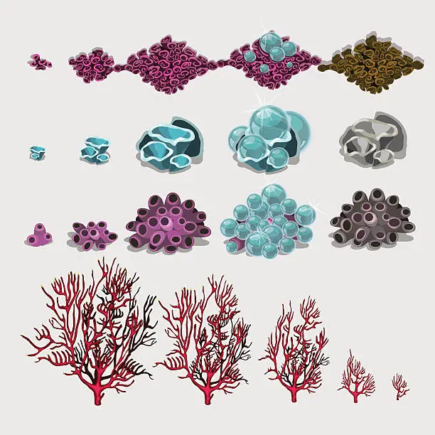 Vector illustration of Big set of corals and underwater plants for design