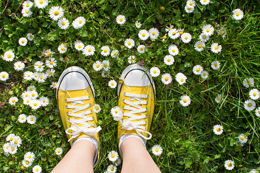 Yellow sneakers decorated with daisies in a dasiy field