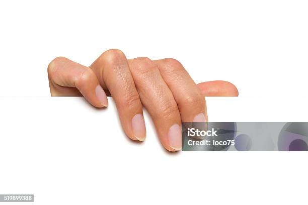 Hand Holding White Empty Sheet Stock Photo - Download Image Now - Gripping, Human Hand, Paper