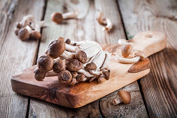 브라운 너도밤나무 버섯 - 만가닥 버섯 뉴스 사진 이미지