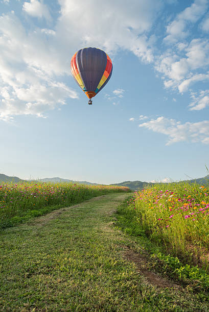 istock Hot air balloon on blue sky cosmos field 519913998