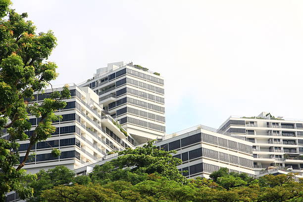 Public Housing at Alexandra Road, Singapore