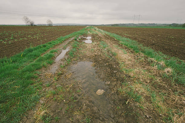 istock Dirt road across agriculture fields on rainy day in springtime 519914798