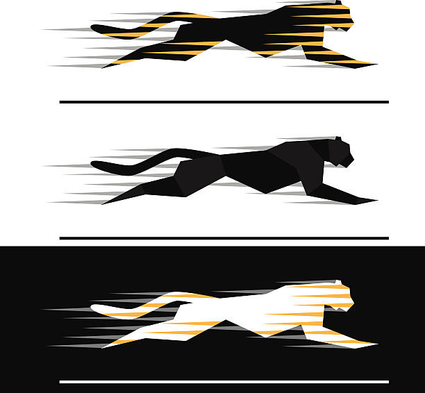 running katzenartige - leopard jaguar animal speed stock-grafiken, -clipart, -cartoons und -symbole