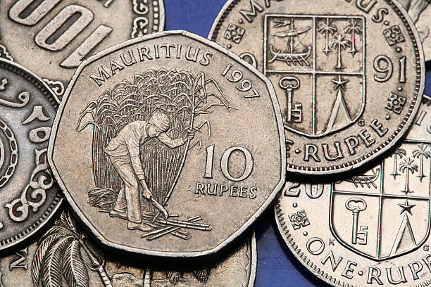 istock Coins of Mauritius 519916093
