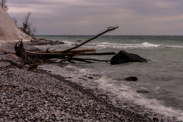 śnieżna plaży na morze północne - rugen island baltic sea germany white cliffs zdjęcia i obrazy z banku zdjęć